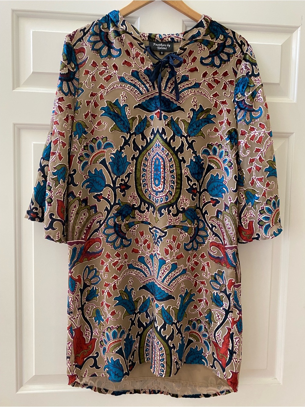 Feathers by Tolani Velvet Sheer Mini Dress Small Floral Patterned Boho Dress